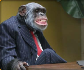 monkey-business-suit1.jpg